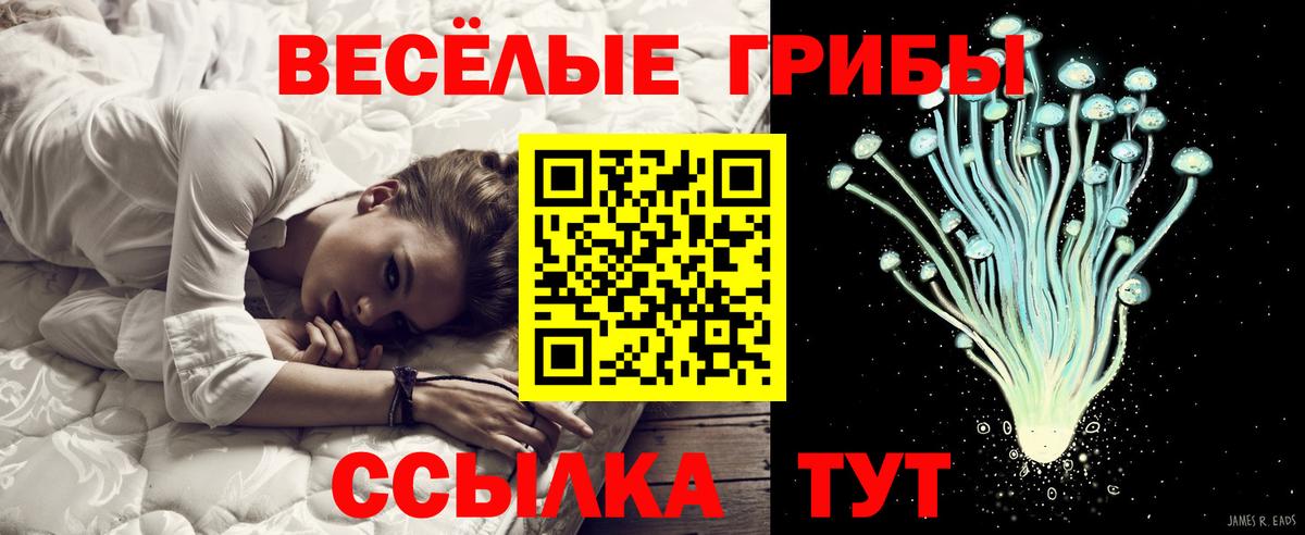 Галлюциногенные грибы GOLDEN TEACHER Киржач