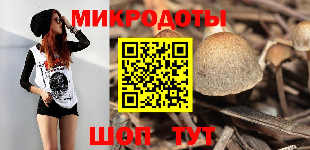 Галлюциногенные грибы Cubensis  Вход с VPN  Киржач 